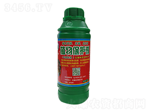 �t֩�댣(zhu��n)��ֲ�ﱣ�o(h��)��-�¸����r(n��ng)�I(y��)