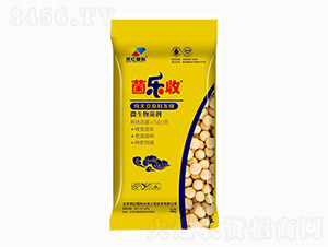 ΢�������-������-��t���H