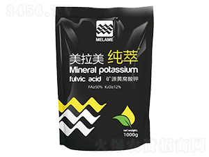 �VԴ�S�����-������������-������