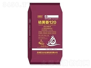 ���Sή120-�S����-������