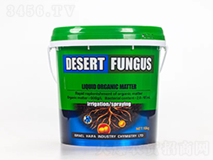 �_ʩ��-�����������S