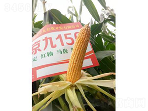 �󾩾�156-���׷N��-�󾩾ŷN�I(y��)