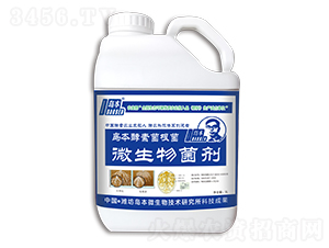 �u�����ؾ�����-�A�I����