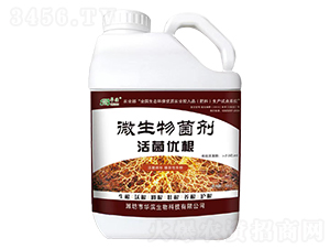 �����(y��u)��΢�������-�A�I����