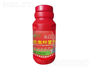 �t���n�������-�A�I����