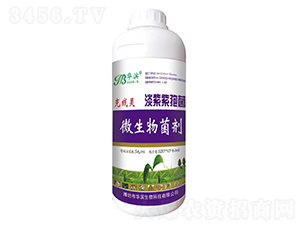 �������߾�-�˾��`-�A�I����