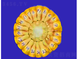 ���\6-���׷N��-���r(n��ng)�N�I(y��)