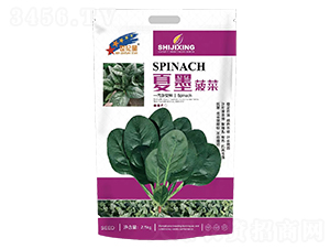 ��ī����-���˷N��-�Aһ�N�I(y��)