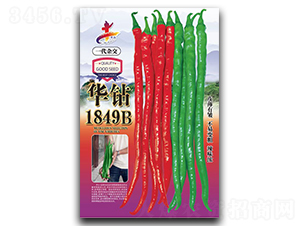 �A�@1849B-�����N��-�Aһ�N�I(y��)