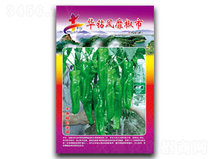 �A�@�L(f��ng)�ҽ���-�����N��-�Aһ�N�I(y��)