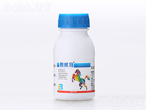 50%����������-�����R-�ЙC�����S