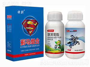 �����E�R�M��-������A