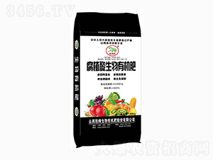 ��ֲ�������ЙC��-�P������