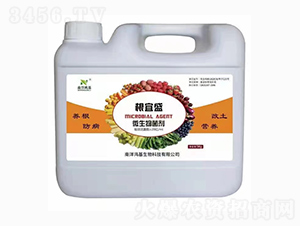 ����ʢ΢�������-��������