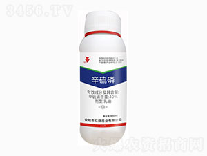 40%������-���A-�t��ˎ�I(y��)