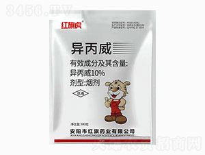 10%������-�t�컢-�t��ˎ�I(y��)