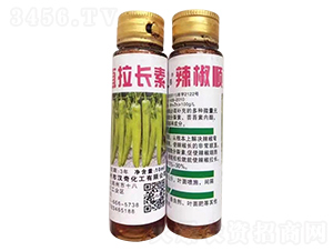 �����ֱ���L(zh��ng)��-�h�滯��