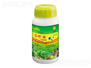 �����Ǵ����w��ˮ����-��ꖉ�