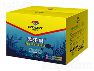 �����ЙC(j��)��}�V-�W����-ِ����