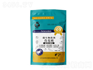 500g΢�������-��˸�-��̩����