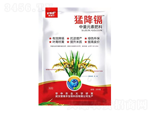 ����Ԫ�ط���-�ͽ��k-�����S