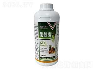 ���n��-������-�ο�ֲ��