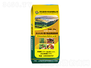 ������Ƭ�۾�Ʒ�S�����-���d�Ƽ�