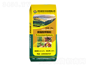 ��ֲ����w��-���d�Ƽ�