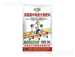 ��ֲ����΢��Ԫ�ط���-���~�ɷ�