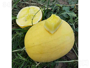 �YƷ���Ͻ��-���ϷN��-��(y��u)�Π�����