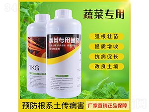 �߲ˌ��þ���-����