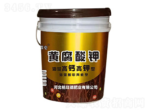 ������}������S�����-���~��-����·ʘI(y��)