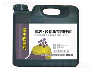 ΢�������-���¡���ճ�ѿ�ߗU��-�SԴ�،�