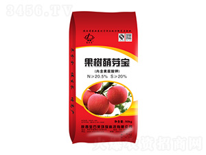 ������ѿ��-��ʯ�R