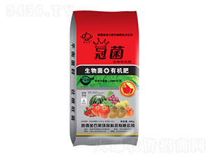 �ھ������ЙC(j��)��-��ʯ�R