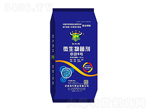 ΢�������-�Є�5̖(h��o)-��ţ