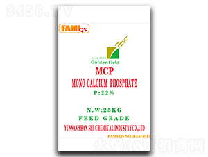 MCP-ƽ̶���r(n��ng)