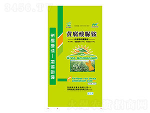 �S�������@-���A�ʘI(y��)