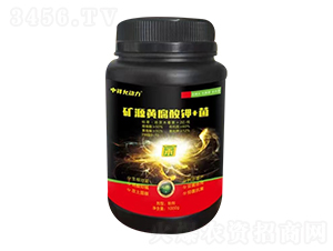 �VԴ�S�����+��-������