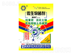 ���ز�΢�������-���栖-��ɭ����