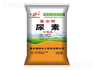 ���������-¡���r�Y