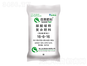 ��ȩ��ጏͺϷ�16-6-16-ס�̷���