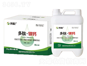 ���ġ��}�V-�̚W