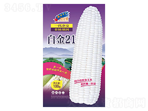 �׽�21-���׷N��-�Aһ�N�I(y��)