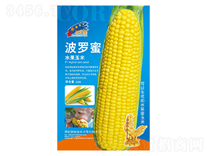 ���}��ˮ������-���׷N��-�Aһ�N�I(y��)