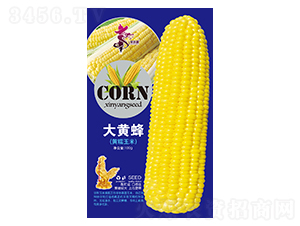 ���S�䣨�SŴ���ף�-���׷N��-�Aһ�N�I(y��)