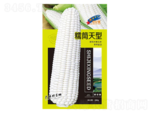 ŴͲ����-���׷N��-�Aһ�N�I(y��)