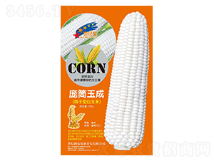 ��Ͳ��ɣ�Ͳ���Ͱ����ף�-���׷N��-�Aһ�N�I(y��)