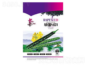 �A��401-�Ͳ˷N��-�Aһ�N�I(y��)