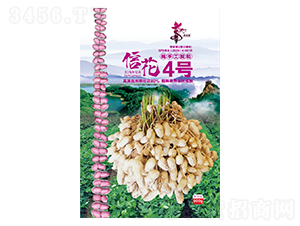 �Ż�4̖(h��o)-�����N��-�Aһ�N�I(y��)